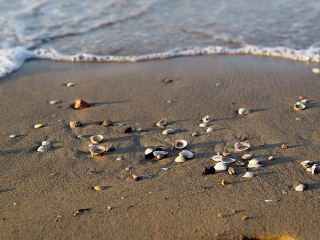 pláž s mušličkami